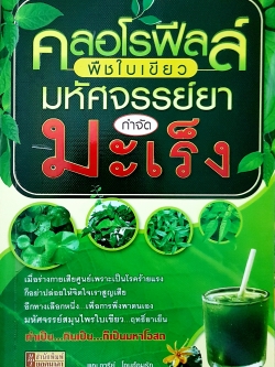 คลอโรฟิลล์ พืชใบเขียว มหัศจรรย์ยา กำจัดมะเร็ง