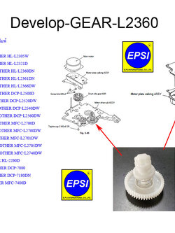 BROTHER Develop-GEAR-L2360 ชุดเฟืองขับตลับหมึก Develop Gear 65L/34 FOR BROTHER HL-L2300/2320/2340/2360/2365/2380/2260/2560/DCP-L2500/2520/2540/2560/2680/7080/7180/MFC-L2700/2705/2720/2740/7380/7480/7880 400 กรัม