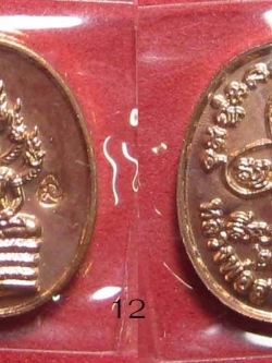 (12) เหรียญพระปรกไตรมาส 51 พิมพ์เล็ก เนื้อทองแดง