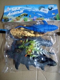 สัตว์ทะเลปลา 9 ตัว