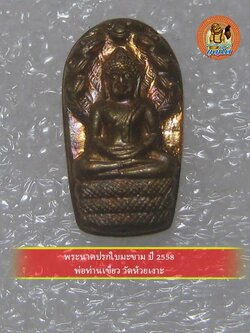 (4) พระนาคปรกใบมะขาม ปี 2558 พ่อท่านเขียว วัดห้วยเงาะ