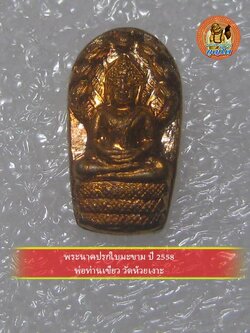 (1) พระนาคปรกใบมะขาม ปี 2558 พ่อท่านเขียว วัดห้วยเงาะ