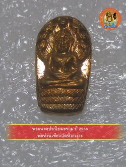 (9) พระนาคปรกใบมะขาม ปี 2558 พ่อท่านเขียว วัดห้วยเงาะ