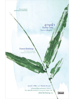 อาบป่า ชินริน-โยกุ วิถีแห่งการฟื้นฟูชีวิต