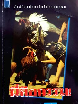 นี่คือกรรม : วิทยา ประทุมธารารัตน์