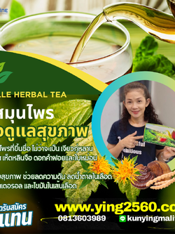 HERBAL TEA ชาสมุนไพร จามิลลี่ ชาสมุนไพรสยบน้ำตาลและไขมัน