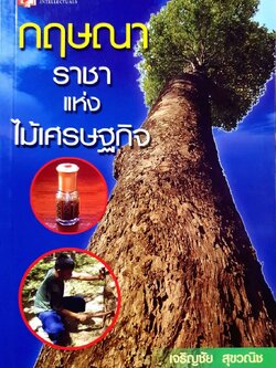 กฤษณา ราชาแห่งไม้เศรษฐกิจ : เจริญชัย สุขวนิช