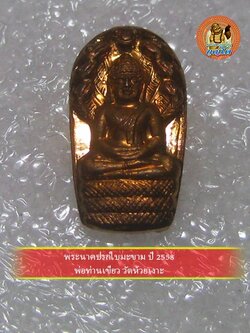 (10) พระนาคปรกใบมะขาม ปี 2558 พ่อท่านเขียว วัดห้วยเงาะ