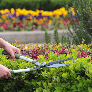 กรรไกรตัดหญ้า กรรไกรตัดแต่งพุ่มไม้