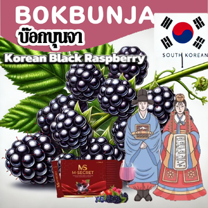 BOKBUNJA บ็อกบุนจา หรือ Korean Black Raspberry ได้ชื่อว่าเป็นอายุวัฒนะของชาวเกาหลี