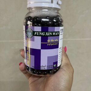 风湿丸 FUNGXINWAN