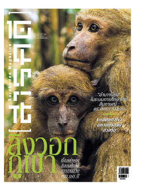 นิตยสารสารคดี 390 ลิงวอกภูเขา