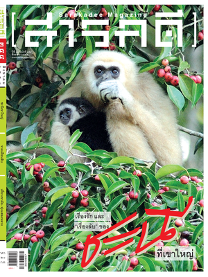 นิตยสารสารคดี 354 เรื่องรักและ เรื่องลับของชะนี