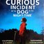 The Curious Incident of the Dog in the Night-time