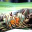 Disney's the Lion King Pop-Up Book by Disney Company