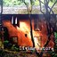 Living Nature บ้านสวยอยู่สบายของคนรักธรรมชาติ : ภัทรศิริ อภิชิต