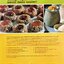 Going Vegan: The Complete Guide to Making a Healthy Transition to a Plant-Based Lifestyle