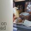 Dave Herbert David Herbert provides over 100 mouth-watering recipes