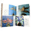 บอนสีใบสวย หนังสือต้นไม้ หนังสือว่าน หนังสือบอนสี หนังสือ หนังสือหายาก หนังสือสะสม
