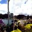 NONG NOOCH TROPICAL BOTANICAL GARDENS & RESORT