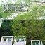 Vertical & roof garden จัดสวนสวยบนผนังและหลังคา (ปกแข็ง) สวนแนวตั้ง & สวนหลังคา ไอเดียดีที่เหมาะสำหรับคนพื้นที่น้อย