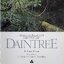 Daintree; Where the Rainforest Meets the Reef; Our Last Paradise at Risk Hardcover