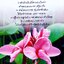 ปลูกดอกไม้มงคล เสริมโชคลาภบารมี อ.กมลวรรณ เตชะวณิช