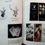 ANIMAL KINGDOM : Design with Animal Aesthetic