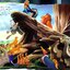 Disney's the Lion King Pop-Up Book by Disney Company