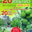 แบบอย่าง...และแนวทางการลงทุน 20 เทคนิค 20 สวนมะนาวเงินล้าน 5 ภาค