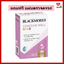 Blackmores Conceive Well Gold วิตามินเพื่อเตรียมพร้อมการตั้งครรภ์