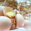 สูตรเมนูไข่ไก่อาหารไทย นานาชาติ และของหวาน (Oriental Egg Recipes)