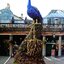 Preston Bailey Celebrations: Lush Flowers, Opulent Tables, Dramatic Spaces, and Other Inspirations for Entertaining