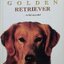 โกลเด้น รีทรีฟเวอร์ GOLDEN RETRIEVER : เหมพันธ์ เหมวรนันท์