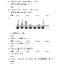 คณิตศาสตร์ ป.4 เทอม 1 (หลักสูตร 2551) แถมฟรี!! เฉลย