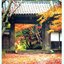 ญี่ปุ่นศึกษา JAPANESE STUDIES VOL1