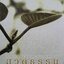 สวดธรรม ฉบับพกพา : สุภีร์ ทุมทอง