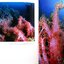 Blue Paradise Thailand (Hardcover)