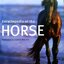 ENCYCLOPEDIA OF THE HORSE : David Broome