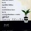 ทัศนคติ ATTITUDE *เป็นเพราะคุณคิด เพราะคุณคิด คุณจึงเป็น : ธนา วีกิจนุเคราะห์