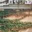 GARDEN DETAILS สวนในบ้าน เล่ม 13 : สำนักพิมพ์บ้านและสวน