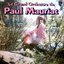 2LP, Vinyl, Grand Orchestre De Paul Mauriat – L'Amour Est Bleu