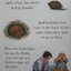 Let's Join In : Four Stories Hardcover , 1998