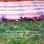 Dave Herbert David Herbert provides over 100 mouth-watering recipes