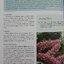NATIONAL PARKS IN THAILAND Department of National Parks, Wildlife and Plant Conservation