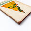พระแก้วมรกตของไทย หนังสือ ศาสนา พุทธ (KL300019)