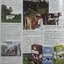 นิตยสาร แม่บ้าน ปีที่ 5 เล่มที่ 76 เมษายน ฉบับปี 2524