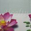 ชีวิตกับสุขภาพ