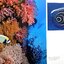 Blue Paradise Thailand (Hardcover)