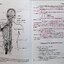 NEUROANATOMY ประสาทกายวิภาคศาสตร์ : มีชัย ศรีใส พ.บ.Ph,D.